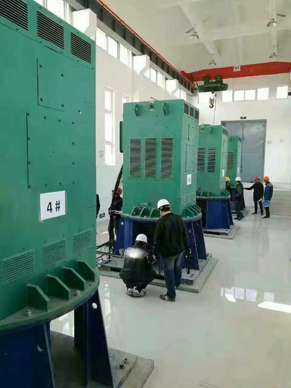 绥滨某污水处理厂使用我厂的立式高压电机安装现场