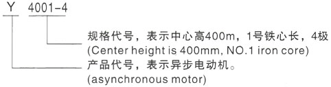 西安泰富西玛Y系列(H355-1000)高压绥滨三相异步电机型号说明